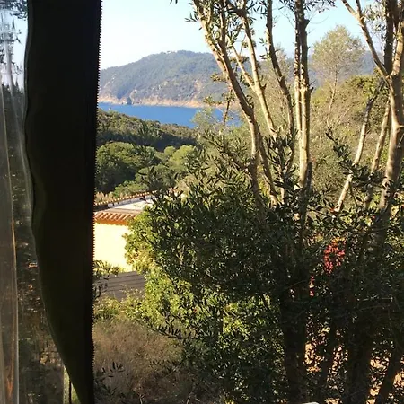 Lodges Safari Les Lauriers Sur Ile Du Levant Exterior photo