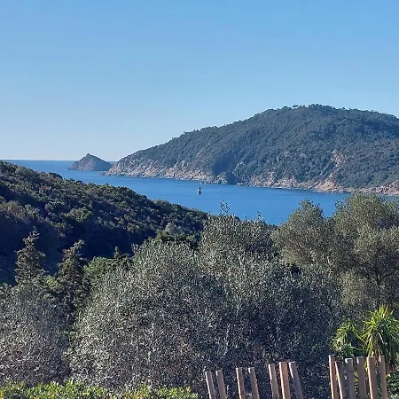 Lodges Safari Les Lauriers Sur Ile Du Levant Exterior photo