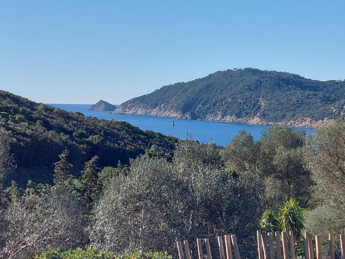 Luxury tent Safari Les Lauriers Sur Ile du Levant