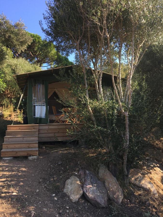 Safari Les Lauriers Sur